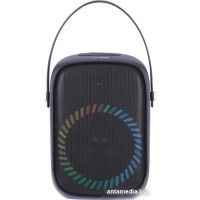 Беспроводная колонка Aiwa PAS-Y600