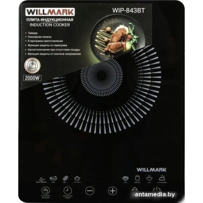 Настольная плита Willmark WIP-843BT