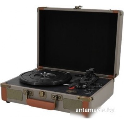 Виниловый проигрыватель Ritmix LP-130B (серый)