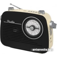 Радиоприемник Ritmix RPR-075