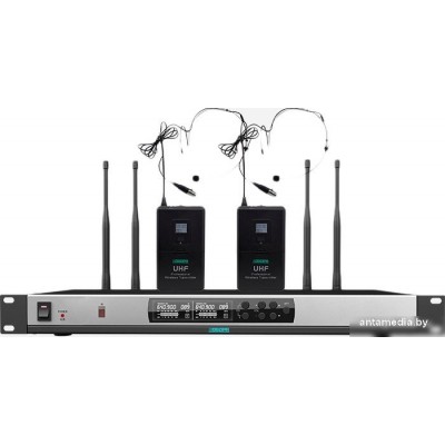 Радиосистема DSPPA D5823