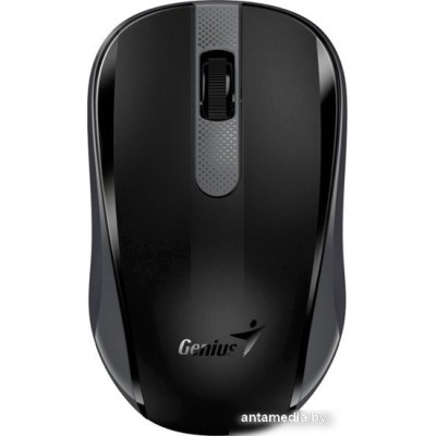 Мышь Genius NX-8008S (черный/серый)