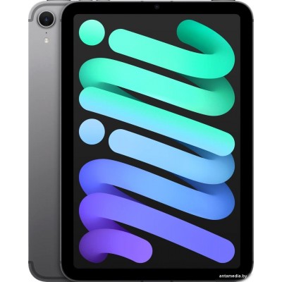 Планшет Apple iPad mini 2024 5G 256GB (серый космос)