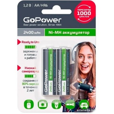 Аккумулятор GoPower 00-00018320