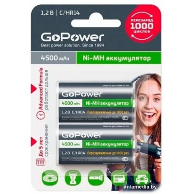 Аккумулятор GoPower 00-00018322