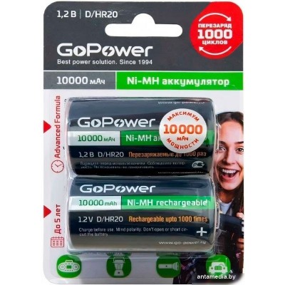 Аккумулятор GoPower 00-00018323