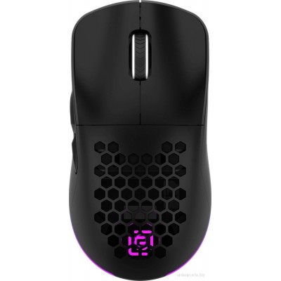 Игровая мышь Oklick 900GMW (черный)