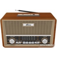 Радиоприемник Ritmix RPR-111