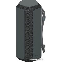 Беспроводная колонка Sony SRS-XE200 (черный)
