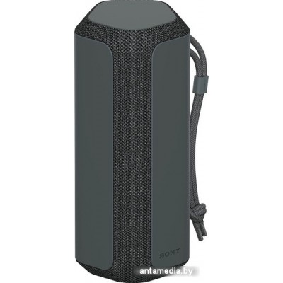 Беспроводная колонка Sony SRS-XE200 (черный)