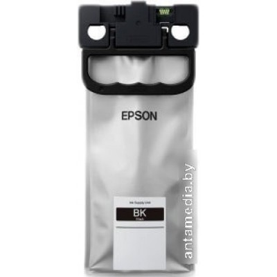 Картридж-чернильница (ПЗК) Epson C13T01C100