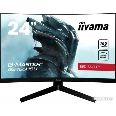 Монитор Iiyama G-Master G2466HSU-B1