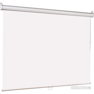 Проекционный экран Lumien Eco Picture (LEP-100101)