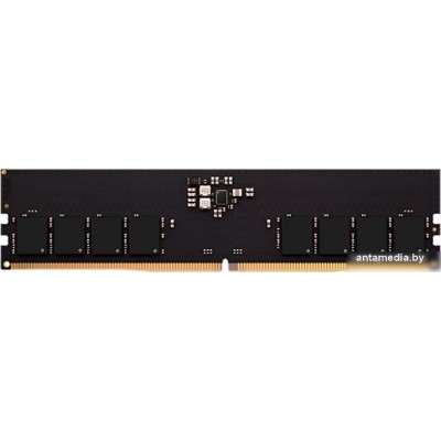 Оперативная память AMD Radeon R5 Entertainment Series 16ГБ DDR5 5200 МГц R5516G5200U1S-U