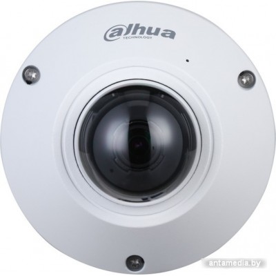 IP-камера Dahua DH-IPC-EB5541P-AS