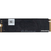 SSD Digma Run S9 1TB DGSR1001TS93T
