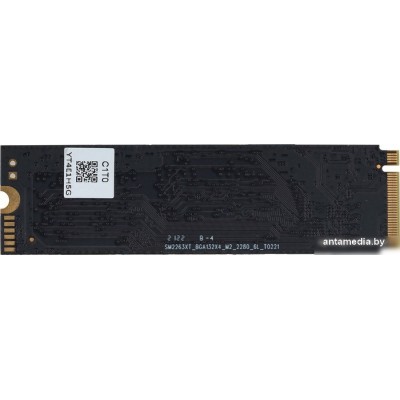 SSD Digma Run S9 1TB DGSR1001TS93T