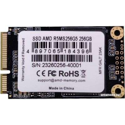 SSD AMD Radeon R5 256GB R5MS256G5
