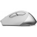 Мышь A4Tech Fstyler FB35S (белый/серый)