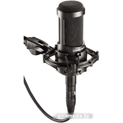 Микрофон Audio-Technica AT2035