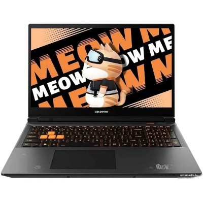 Игровой ноутбук Colorful Evol MEOW R15 A10305000025