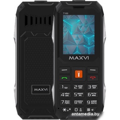 Кнопочный телефон Maxvi T100 (черный)