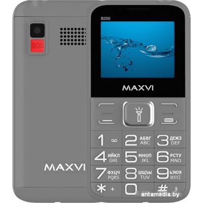 Кнопочный телефон Maxvi B200 (серый)