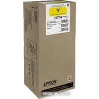 Чернила Epson C13T973400