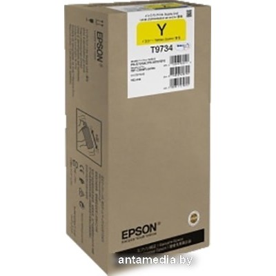 Чернила Epson C13T973400