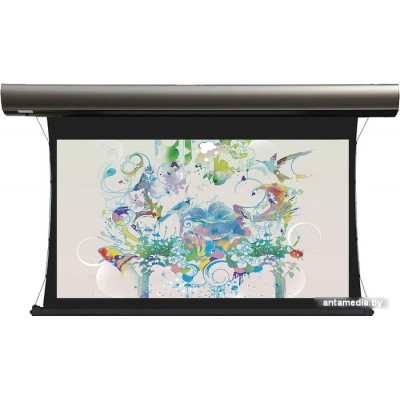 Проекционный экран Lumien Cinema Tensioned Control 184х286 LCTC-100111