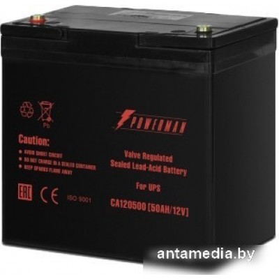 Аккумулятор для ИБП Powerman CA12500/UPS (12В/50 А·ч)
