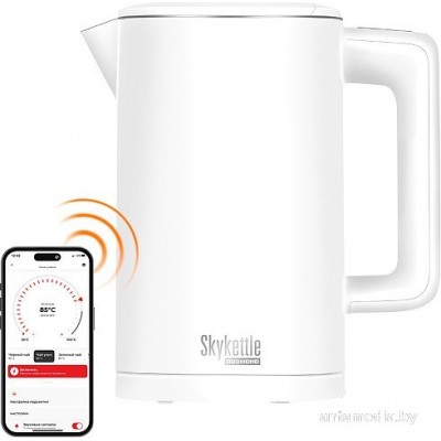 Электрический чайник Redmond SkyKettle KM231S (белый)