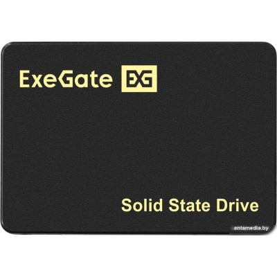 SSD ExeGate Next Pro+ UV500TS1TB 1TB EX295277RUS