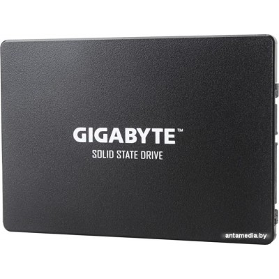 SSD Gigabyte 1TB GP-GSTFS31100TNTD