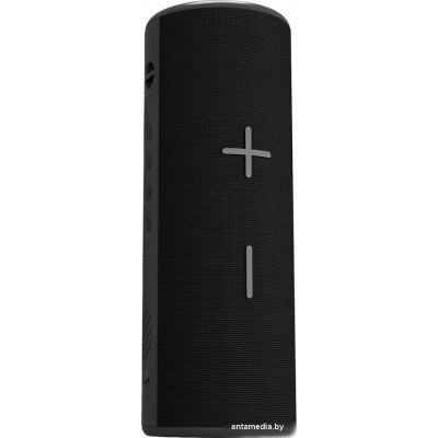 Беспроводная колонка Soundmax SM-PS5024B (черный)