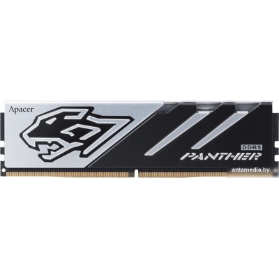 Оперативная память Apacer Panther 16ГБ DDR5 5200 МГц AH5U16G52C5227BAA-1