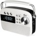 Радиоприемник Ritmix RPR-705
