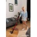 Пылесос AccesStyle VH180N03DR