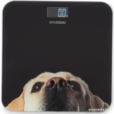 Напольные весы Hyundai H-BS03674 Напольные весы Hyundai H-BS03674