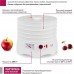 Сушилка для овощей и фруктов Мастерица EFD-0502VM (5 поддонов и 1 поддон для пастилы)