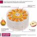 Сушилка для овощей и фруктов Мастерица EFD-0502VM (5 прозрачных поддонов и 1 поддон для пастилы)