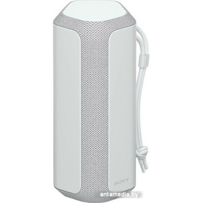 Беспроводная колонка Sony SRS-XE200 (серый)