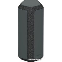 Беспроводная колонка Sony SRS-XE300 (черный)
