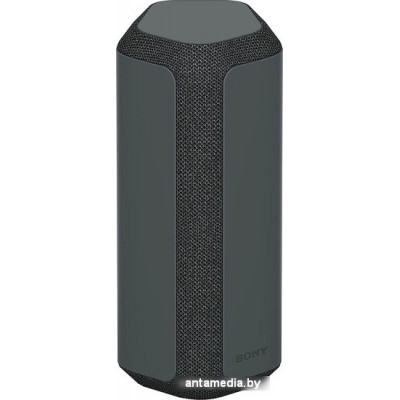 Беспроводная колонка Sony SRS-XE300 (черный)