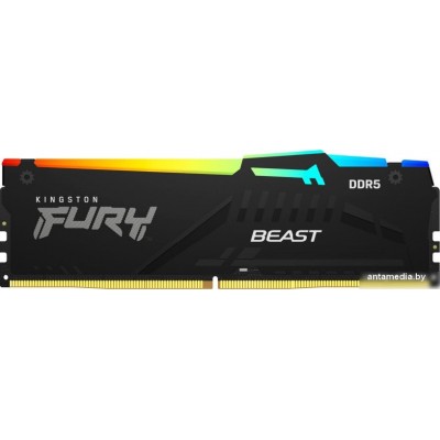Оперативная память Kingston FURY Beast RGB 16ГБ DDR5 6400 МГц KF564C32BBEA-16