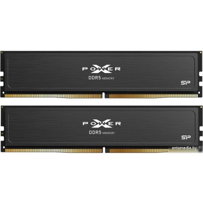 Оперативная память Silicon-Power XPower Pulse 2x32ГБ DDR5 6400 МГц SP064GXLWU64AFDJ