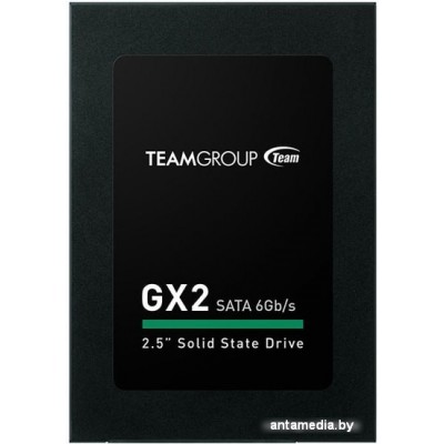 SSD Team GX2 128GB T253X2128G0C101