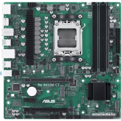 Материнская плата ASUS Pro B650M-CT-CSM