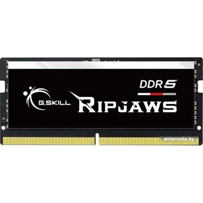 Оперативная память G.Skill Ripjaws 32ГБ DDR5 SODIMM 5600МГц F5-5600S4040A32GX1-RS
