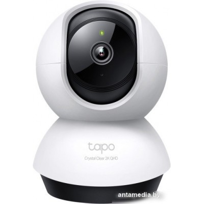 IP-камера TP-Link Tapo C220